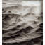 Dune-901279011