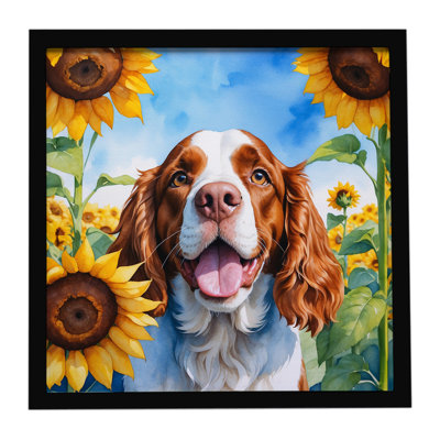 Welsh Springer Spaniel in Sunflowers Framed Metal Print