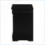 Black 2-Drawer Classic Nightstand - Louis Phillipe Collection