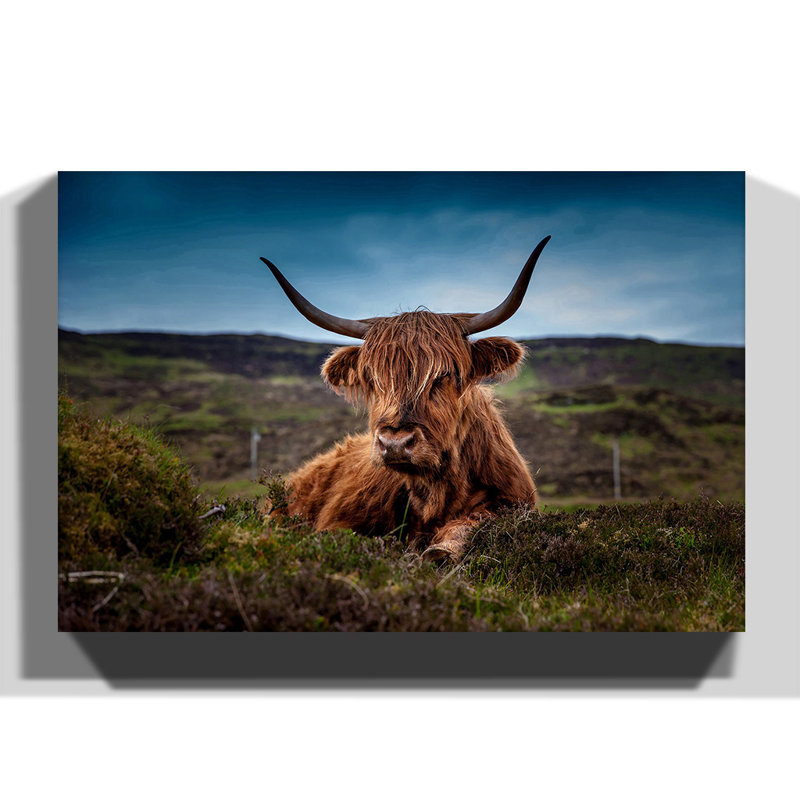 Wrapped Canvas Print, 70cm H x 100cm W