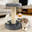 Scratching Post