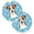 Jack Russell terrier brun foncé