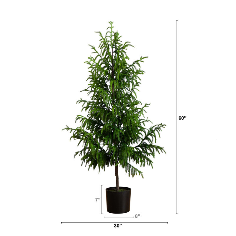 Artificial Norfolk Pine Tree, 5'