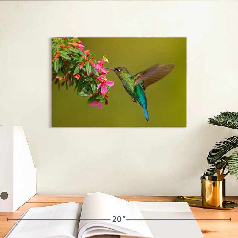 Brampt Hummingbird Feeding, 8'' H x 12'' W