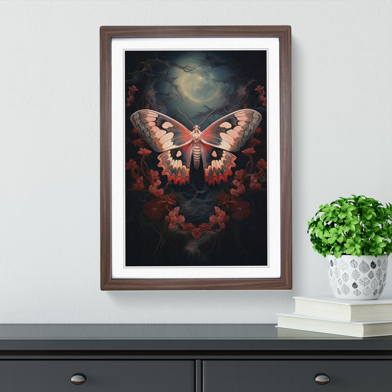 Moth Romanticism - Single Picture Frame Print on Wood, Walnut Framed, 34cm H x 25cm W x 2cm D