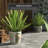 Navua Ceramic Cachepot-509138420