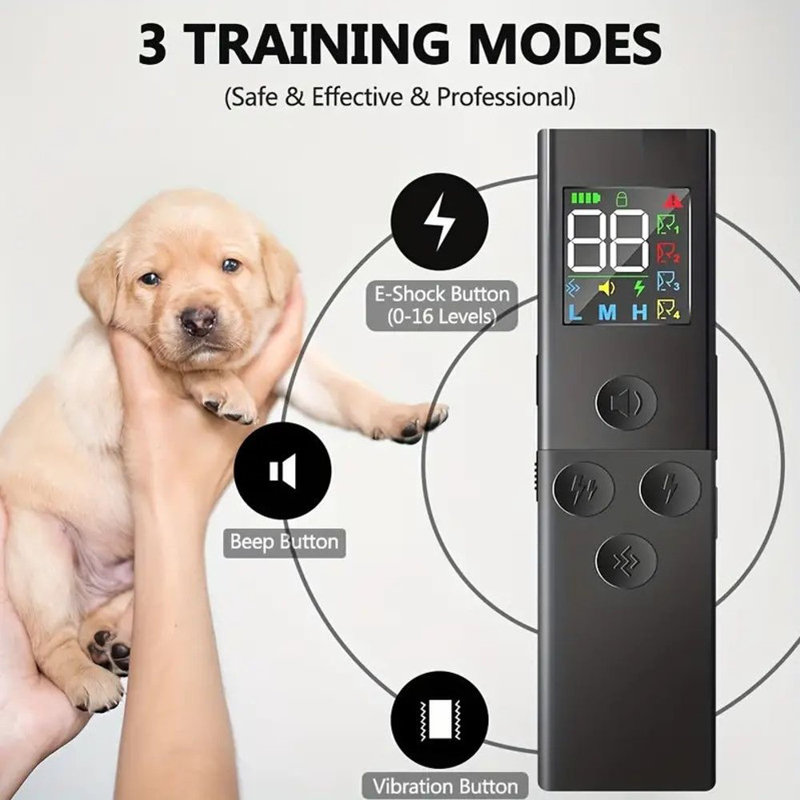 Dog Training Collar Set with Sleek Color Display