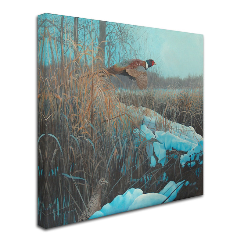 «Pheasant Acrylique 067» Armstrong, reproduction d'art sur toile tendue, H 14 po x l 14 po x P 2 po