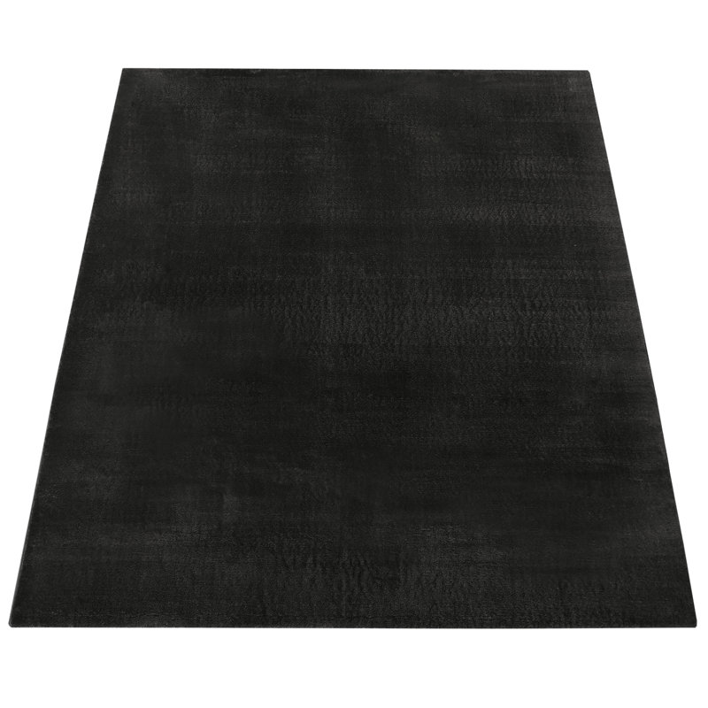Soft Area Rug Cozy Low-Pile Rug Anti-Slip Solid Color Washable, Rectangle 3'11" x 5'7", Black