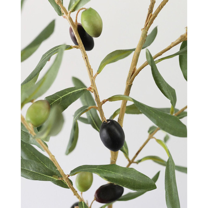 Large Olive Branch 46"