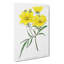 Yellow Tickseed Flowers - Wrapped Canvas Painting-55319829