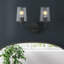 Viva 2 Light Transparent Dimmable Vanity Light-864717448