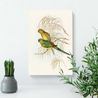 Parakeets by Elizabeth Gould - Wrapped Canvas