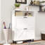 Armoire de rangement pour chaussures avec 2 tiroirs rabattables et design - Blanc antique autoportant pour vestibule, vestibule, couloir