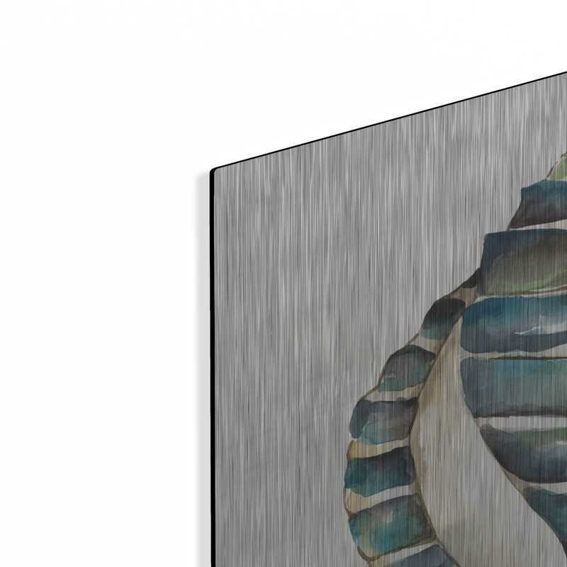 «Aquarelle Shells 1» par Chariklia Zarris, art mural en métal, H 24 po x l 24 po