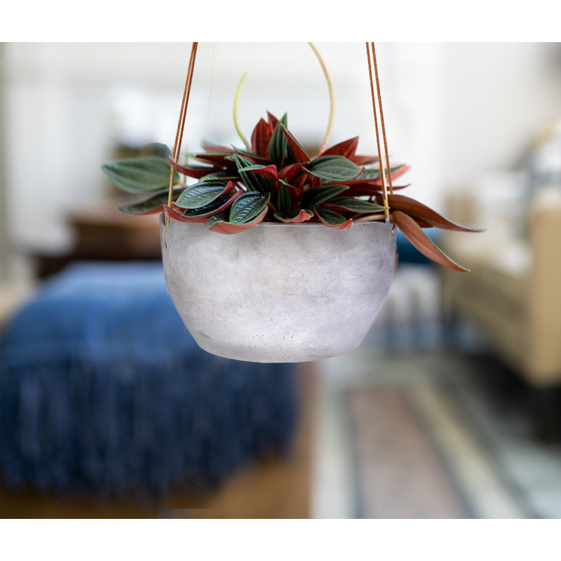7.5 in. Hanging Bowl Planter