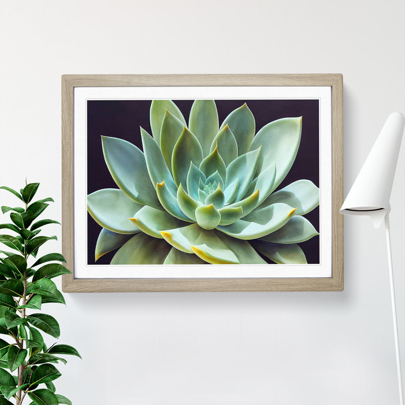 Watercolour Succulent Plant Vol.5 - Single Picture Frame Print, 46cm H x 64cm W, Light Grey/Brown