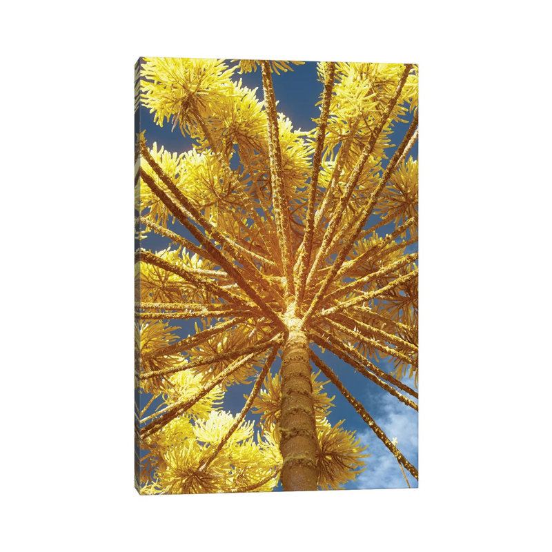 Up by Glauco Meneghelli - Wrapped Canvas Print, 20.32 cm H x 30.48 cm W