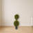 Cedar Double Ball Topiary with Lights