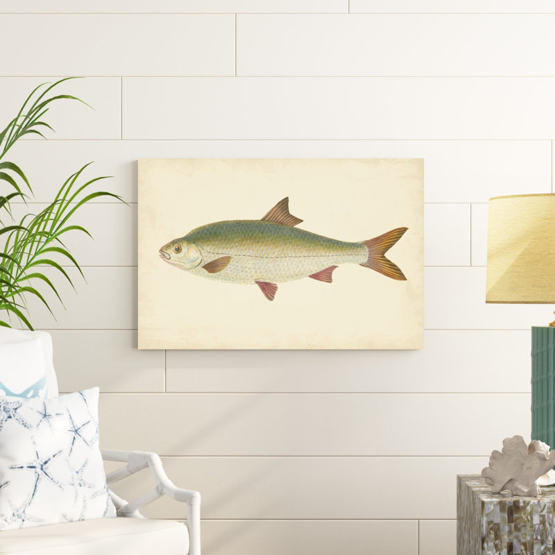 " Donovan Antique Fish II " by Donovan, 24" H x 36" W x 1" D
