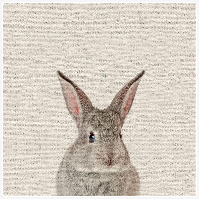 Bunny Surprise - Drawing on Canvas, 51cm H x 51cm W