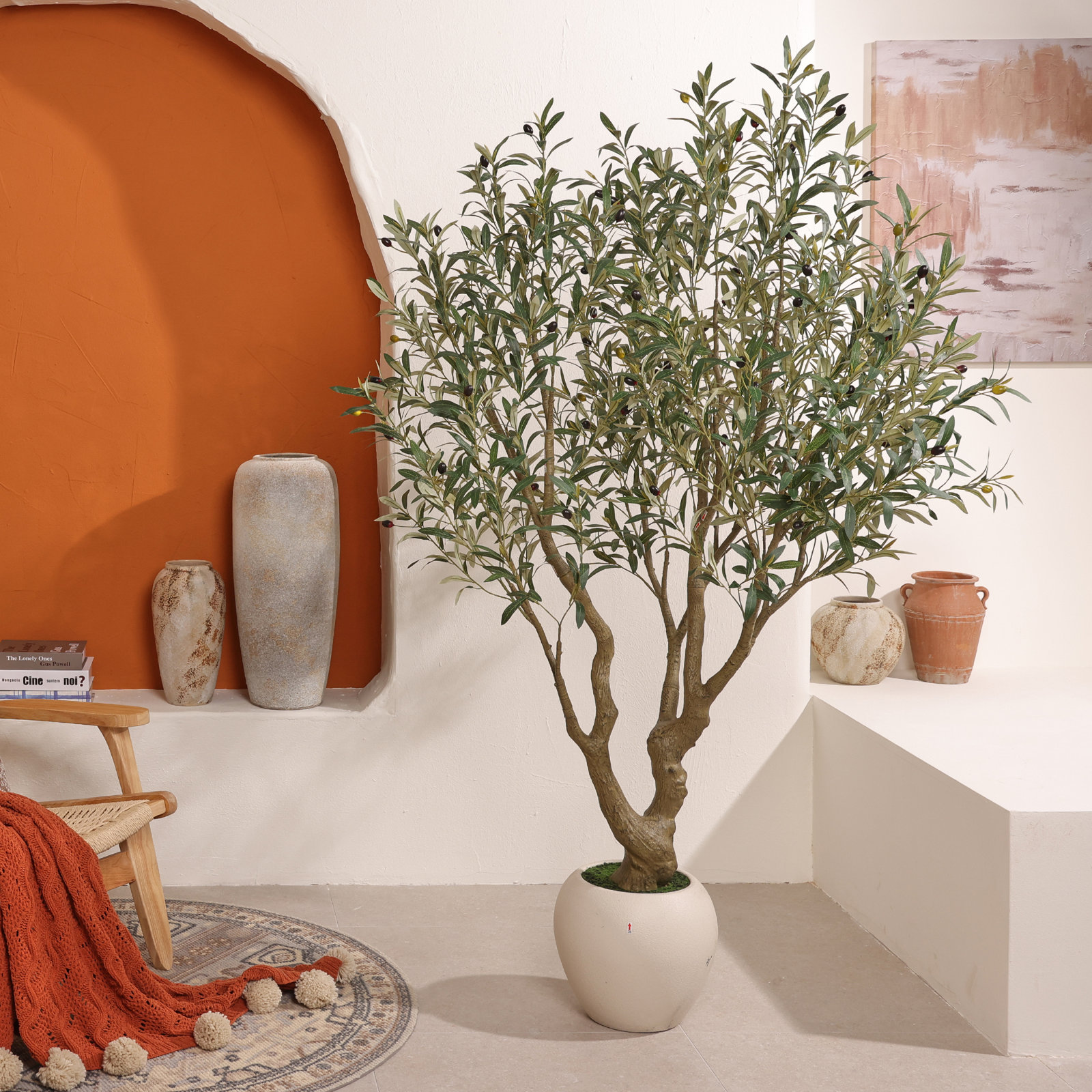 Ashwell Olive Tree in Pot, 72" H x 48" W