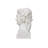 Hector Marble Bust Sculpture