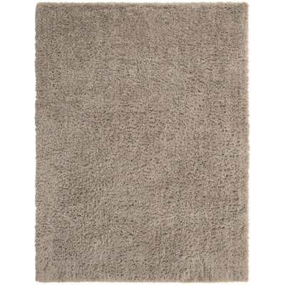 Nickales Oriental Indoor Rug