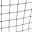 Freeport Park Football Net
