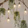 B11E12 40 Watt Equivalent B11 E12/Candelabra Dimmable 2200K LED Bulb