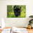 Brampt Lurking Black Jaguar-107696027