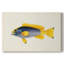 Collection Tropical Fish V - Cavas enveloppés de galerie-120808909