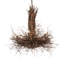 Basmah 6 - Light Chandelier