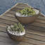 Delano Planter-1196885422-1196885423