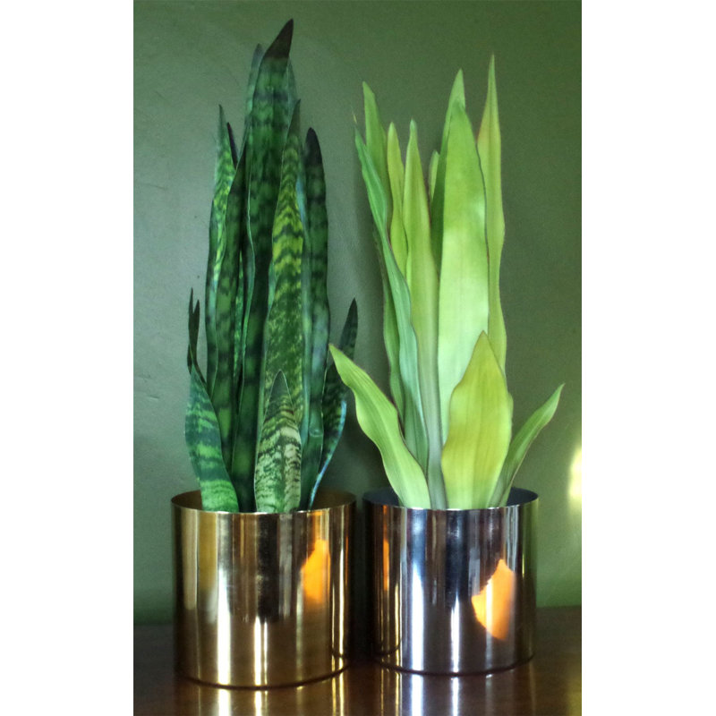 70cm Faux Plant in Pot Liner