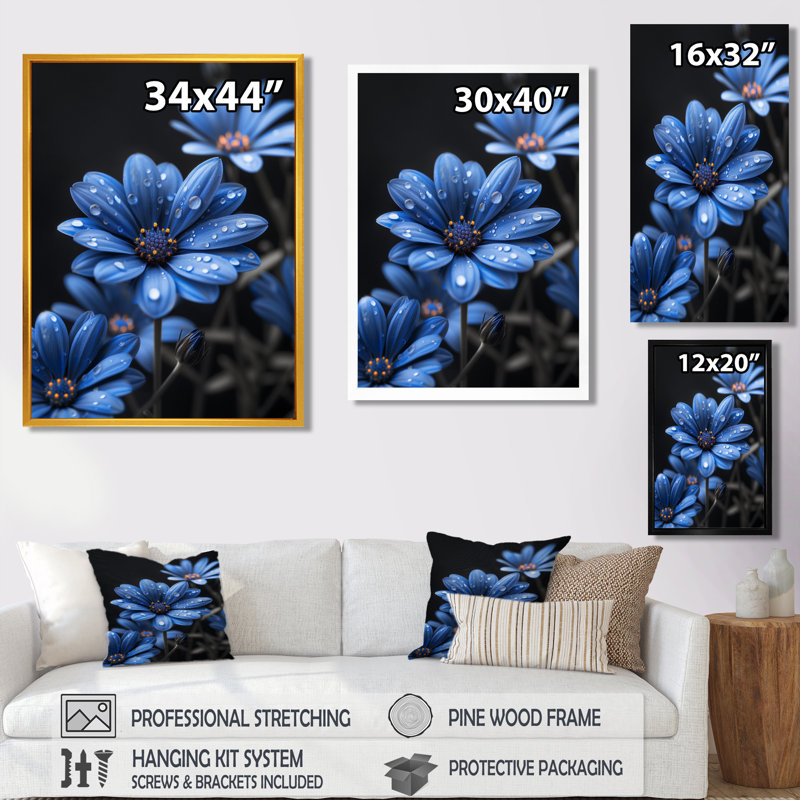 Monochromes bleus noirs, gouttes de pluie, fleurs II - marguerites, art mural, Toile tendue, H 12 po x l 20 po