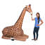 Statue de jardin giraffe assis dakarai