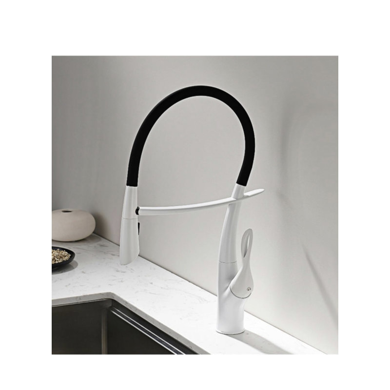 Robinet de cuisine amovible AvaMalis
