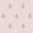 Pink/Pink Gold