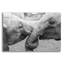  «Besties» par Max Blakesberg, art mural en verre acrylique, 16 po x 12 po