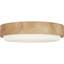 Richard June Transitional Aurelle Flush Mount Light-961378286