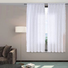 Warm Home Designs Pair of Semi Sheer Lace Curtain & Attached Valances 