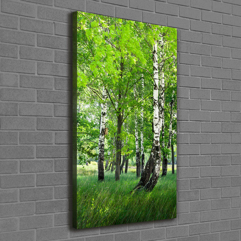 Birch Forest - Wrapped Canvas Print