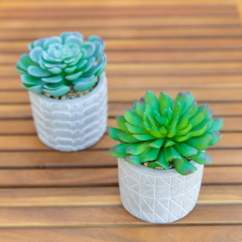 4.5'' Faux Succulent Plant in Cement Pot