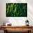 Harnek Forest Pine Trees-108731012