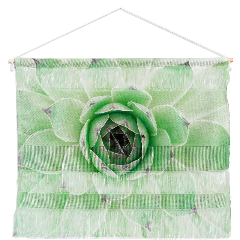 Suspension murale menthe succulent par emanuela carratoni, H 16 po x l 22 po x P 0,13 po