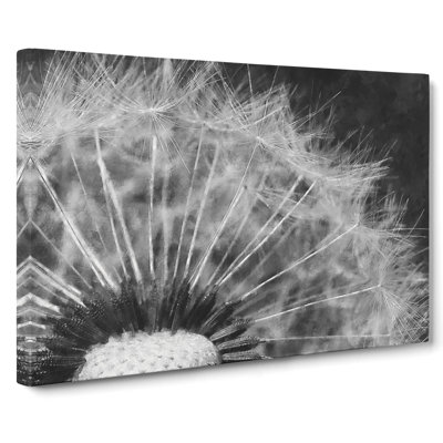 Dandelion Seeds Vol.8 - Wrapped Canvas Print
