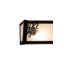 4 - Light Vanity Light