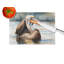 Pelican Glass Cutting Board Large