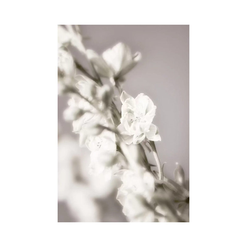 Jardin d'Argent III 1 Piece Wrapped Canvas Wall Art, 30.48 cm H x 45.72 cm W